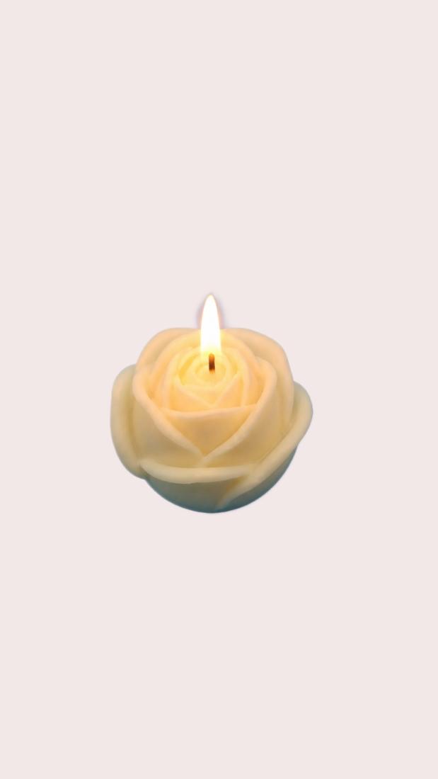 Bouton De Rose Fermé
